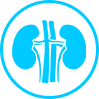 nephrology